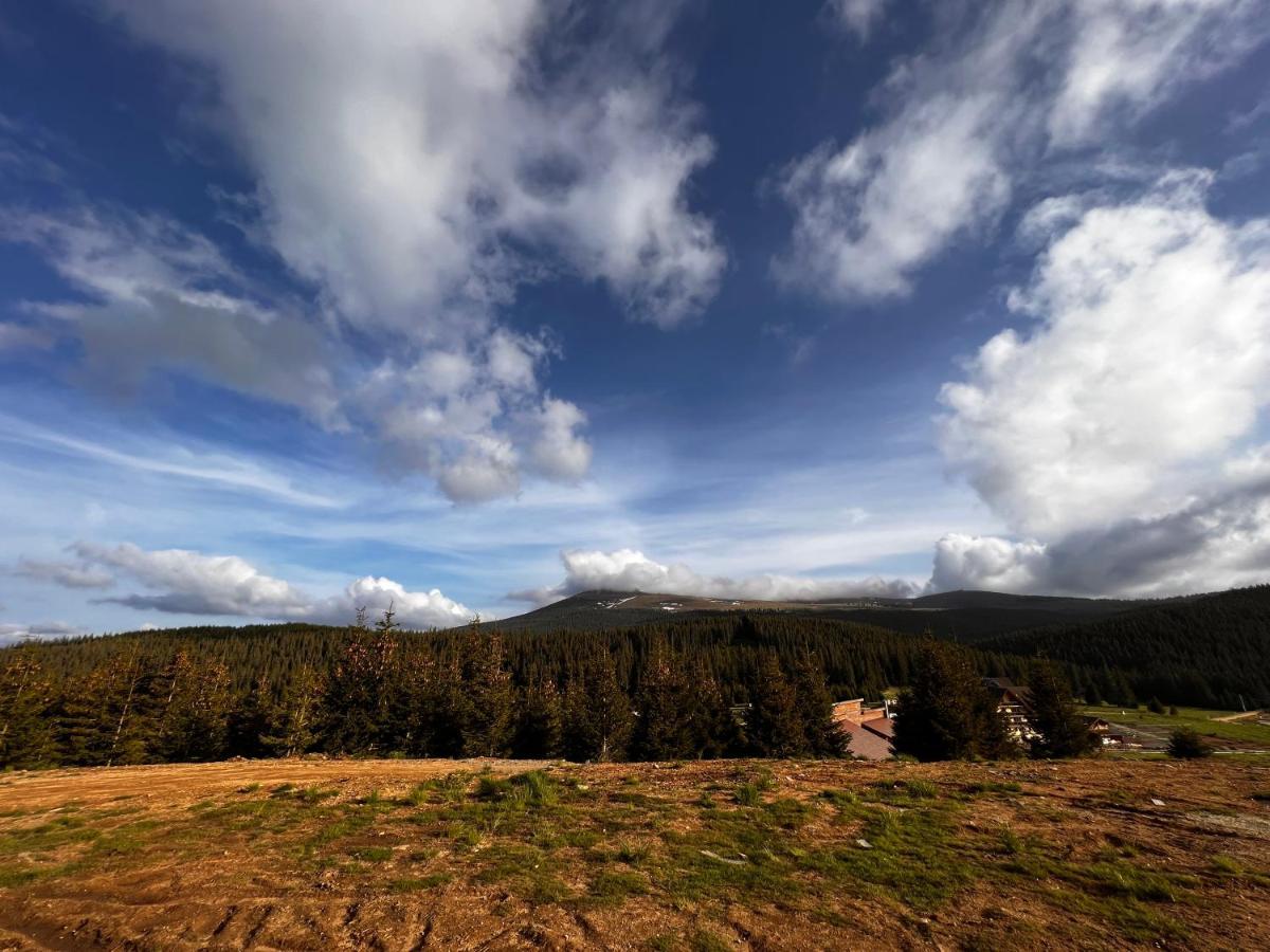 Heaven'S Cabins Tău Bistra Dış mekan fotoğraf